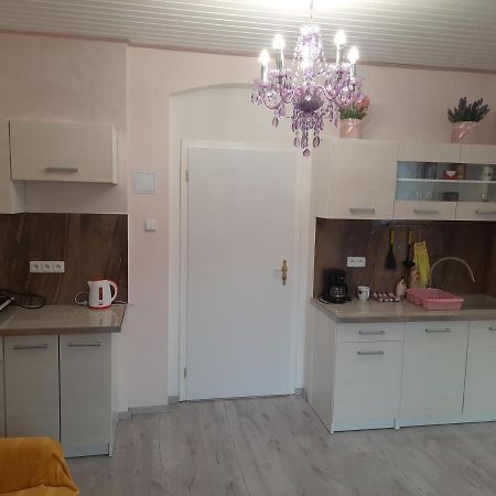 Appartamento Fantasy Karlovy Vary Esterno foto